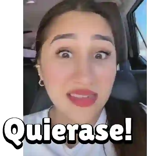 Nerito 12