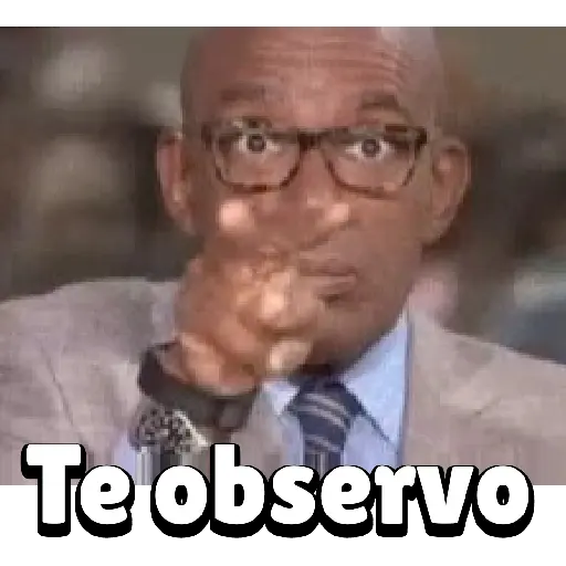 Nerito 14