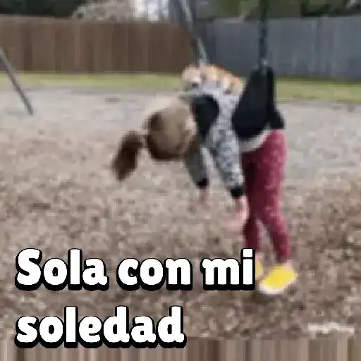 Nerito 19