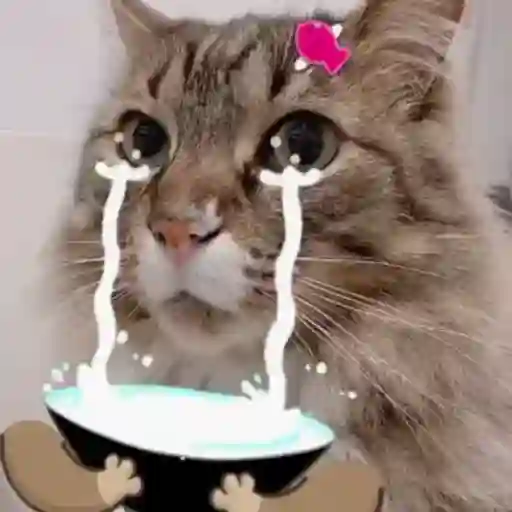 Nangis cry 6