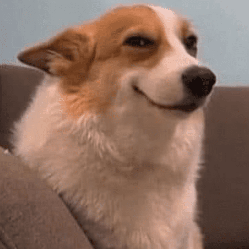 Sus anjing dog 9