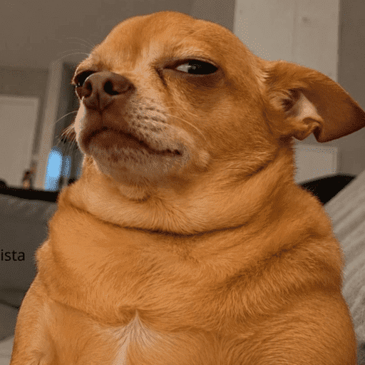 Sus anjing dog 2