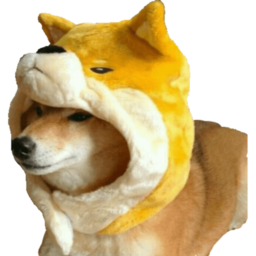 Gatito bonito2 11