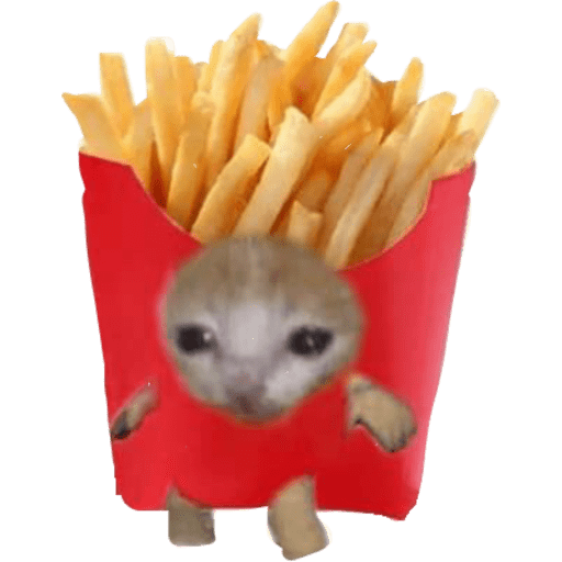 Gatito bonito2 28