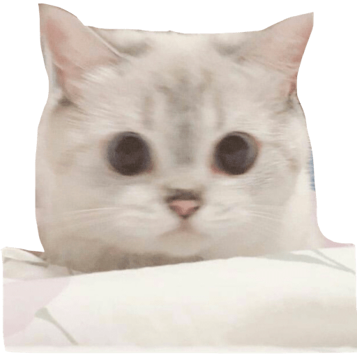 Gatito bonito2 5