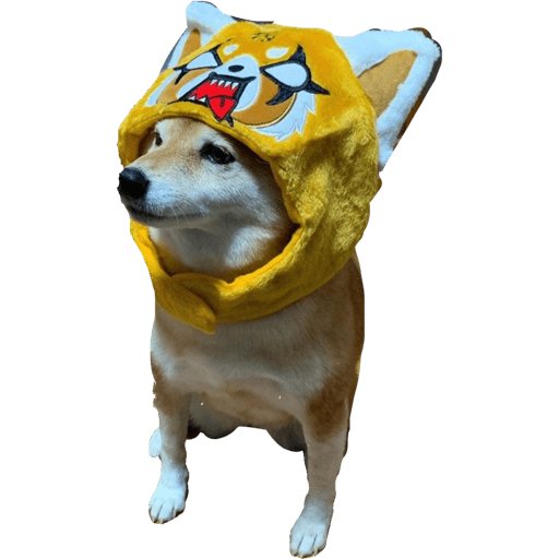 Gatito bonito2 30