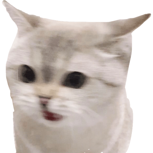 Gatito bonito2 4