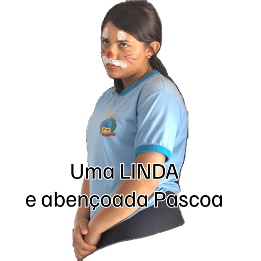 Minhas figurinhas 8