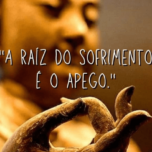 Quântico  24