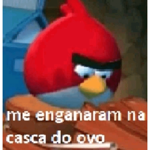 Ooo 11