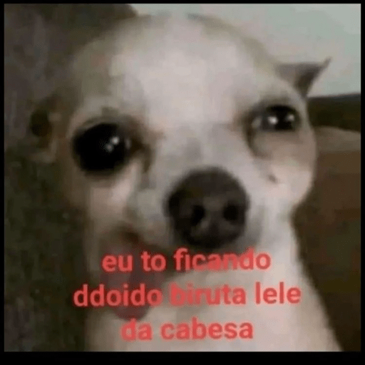 Ooo 12