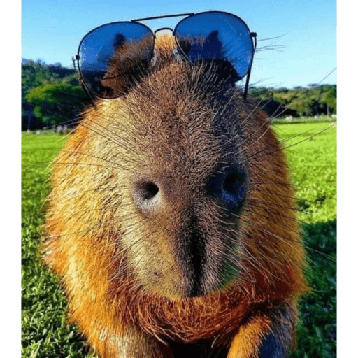 Capybara