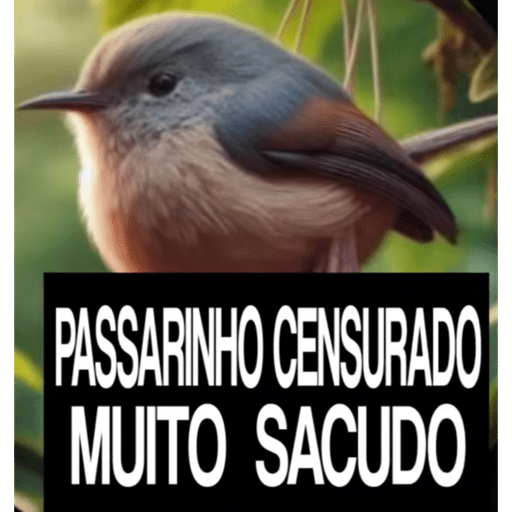 Crias 7