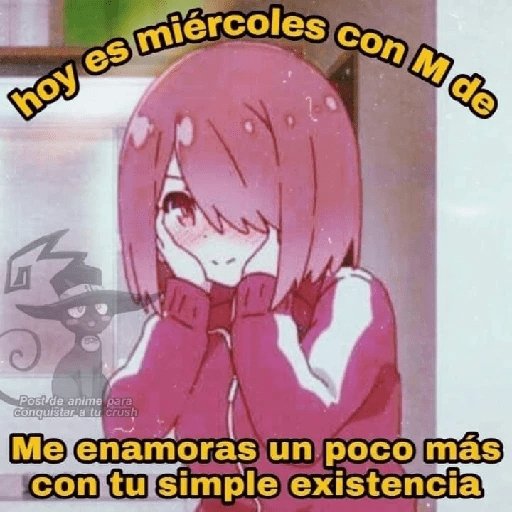 Memes  anime 11 26