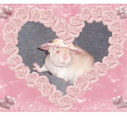 Jsjssjsj 14