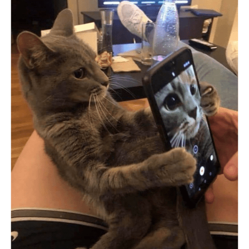 Randoms from Twitter pt.3 9
