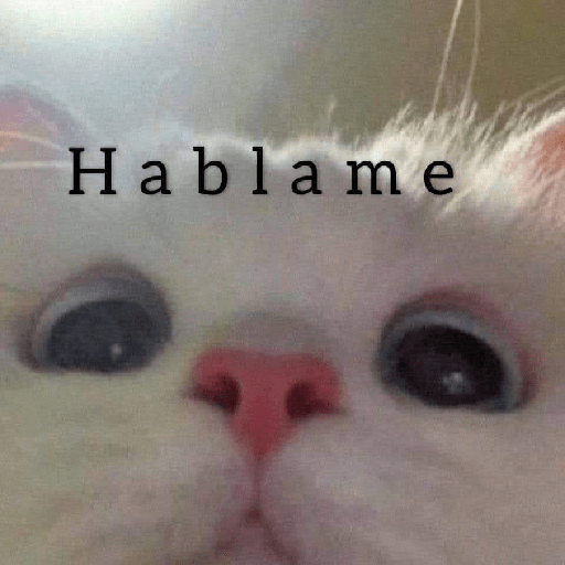 Gatitos 😽 3