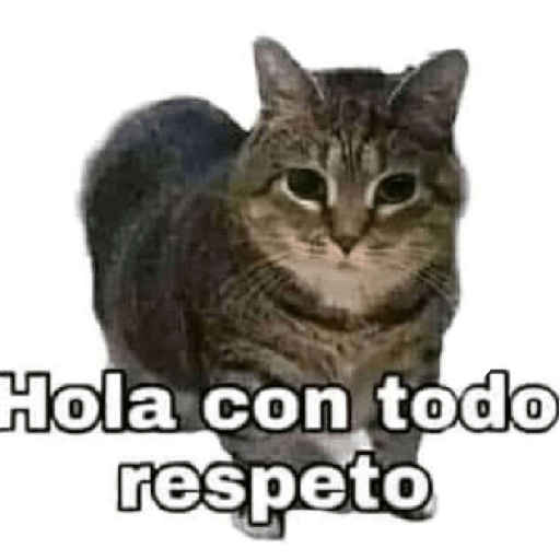 Gatitos 😽 23