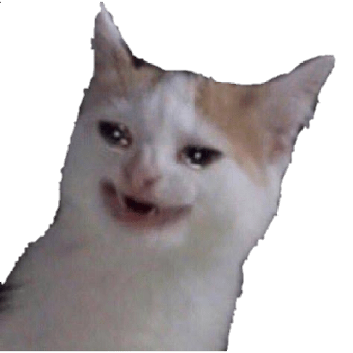 Gatitos 😽 17