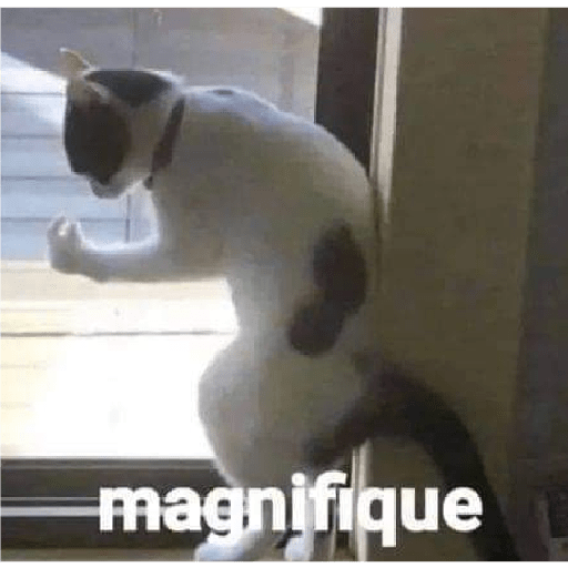 Gatitos 😽 30