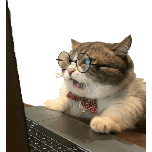 Gatitos 😽 29