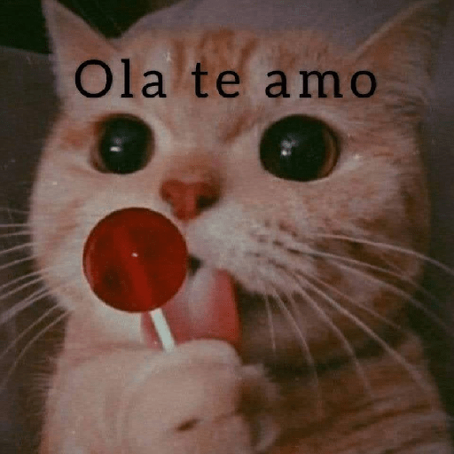 Gatitos 😽 2