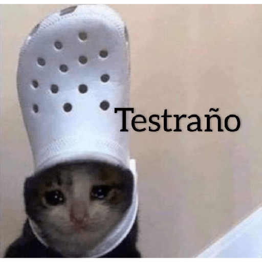 Gatitos 😽 8
