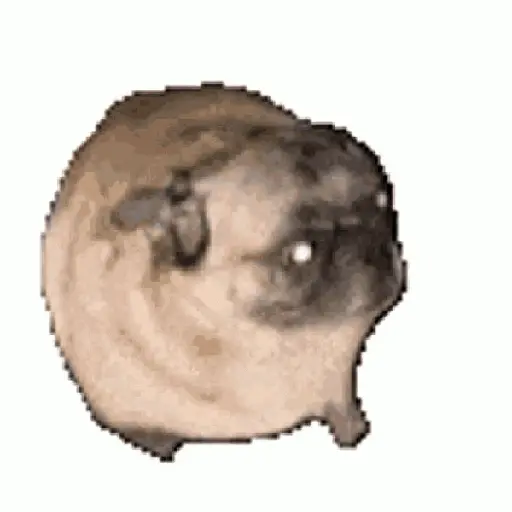 Bailes random 2
