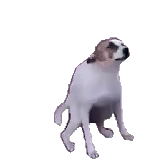 Bailes random 1
