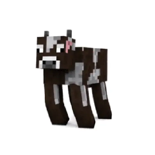 Bailes random 4