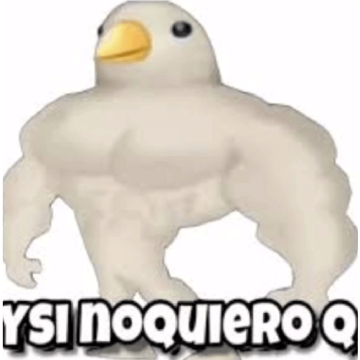 Sticker 5