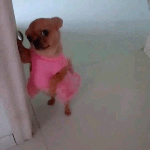 Barbiegirl 12