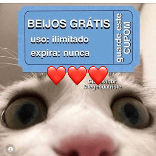 Gatinhos com frases😽