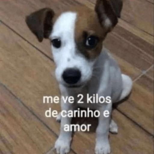 Doguitos 3