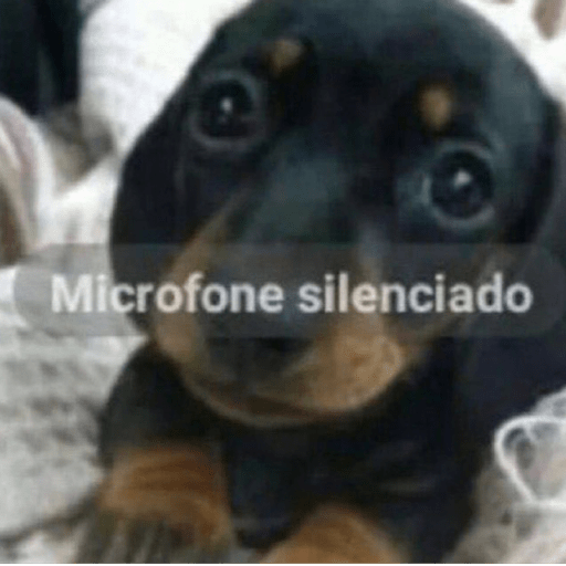 Doguitos 12