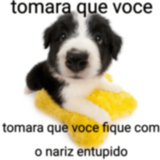 Doguitos 11