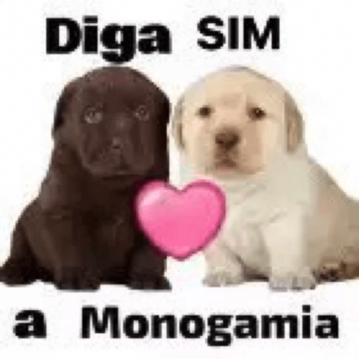 Doguitos