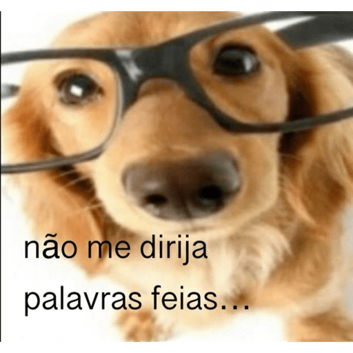 Doguitos 4