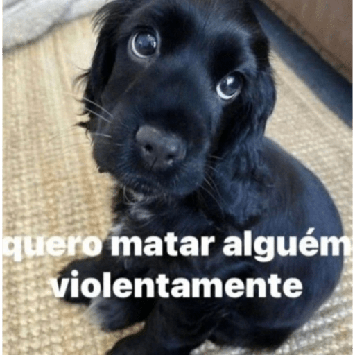Doguitos 9