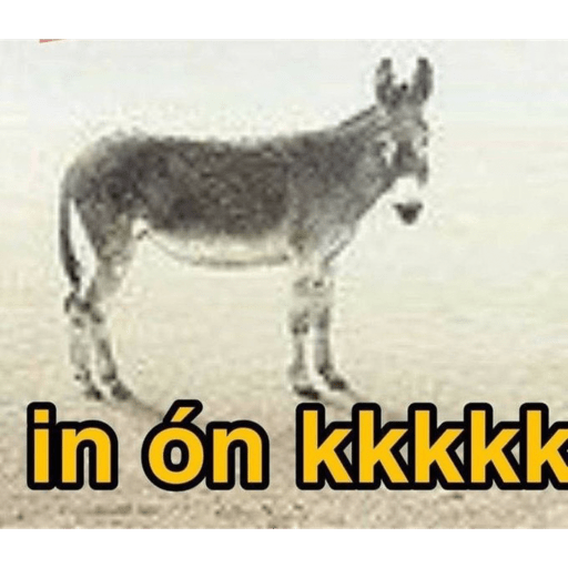 Memes e frases