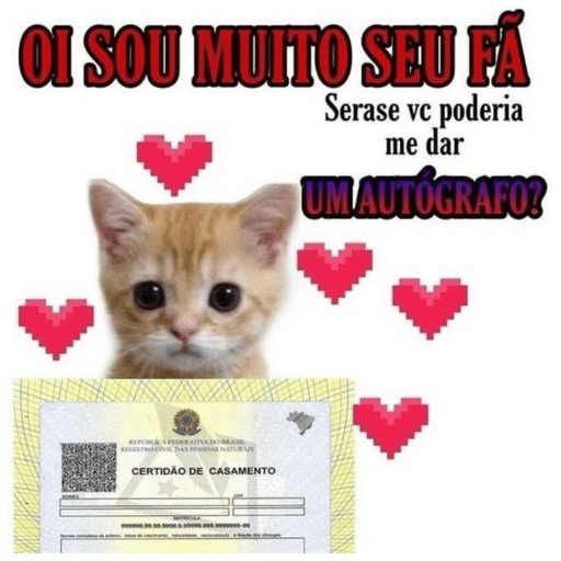 Flertes e sapecagens😏 6