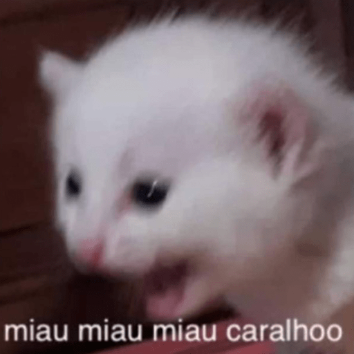 Flertes e sapecagens😏 1