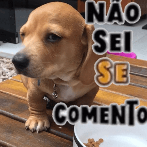 Animaizinhos