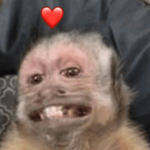 Miquinho 🐵