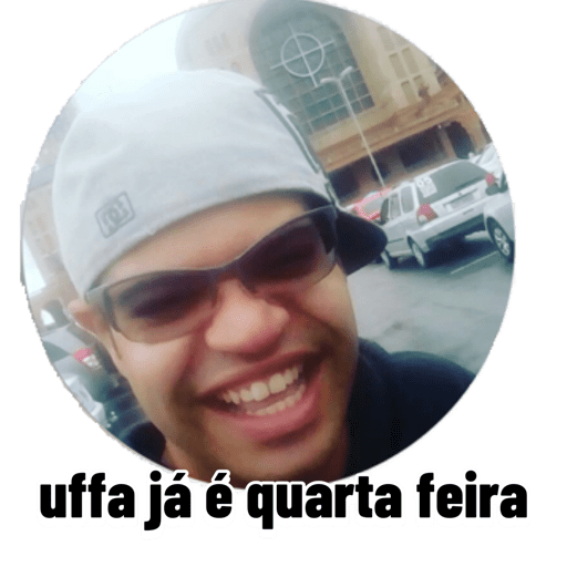 Minhas figurinhas 11