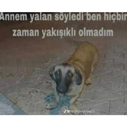 Türkçe meme 4