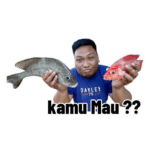 Baru 21