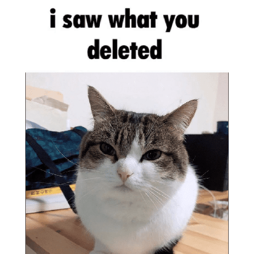 Meowscarada pero shiquilla 15