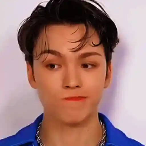 Vernon 💖😎 14