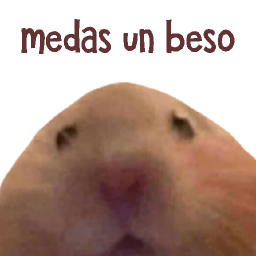 MEMES RANDOM 13